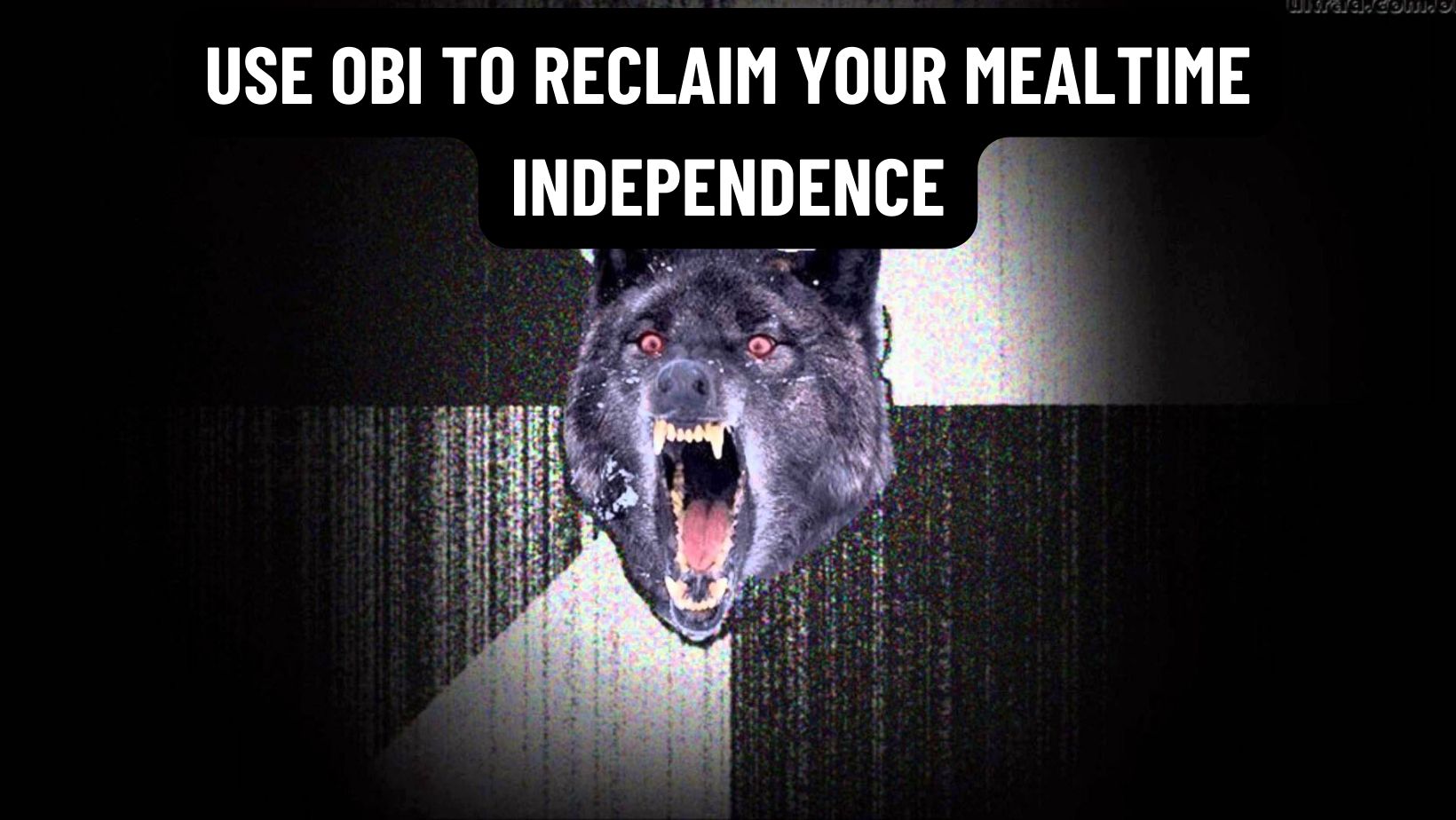 USE OBI TO RECLAIM YOUR MEALTIME INDEPENDENCE YELLING WOLF MEME_theHotBleep